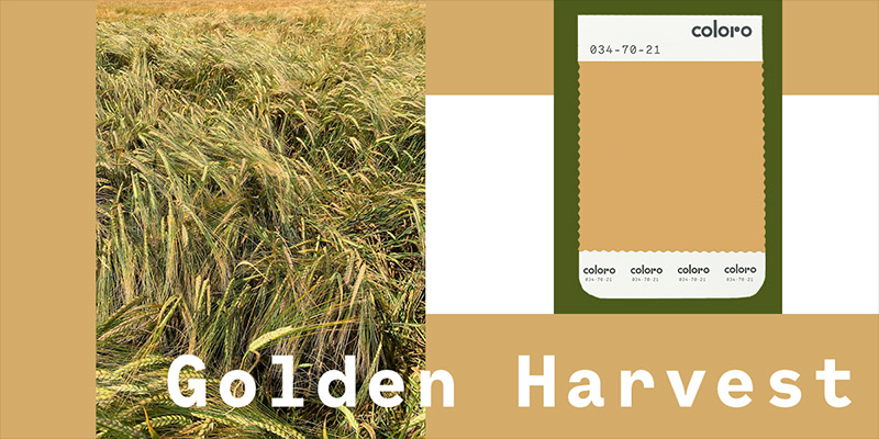 cores do outono inverno 2021 e 2022 golden-harvest-banner